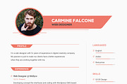 Curriculum Vited - Resume Template, a Resume Template by Ted-sign (Thumbnail 5 of 8)