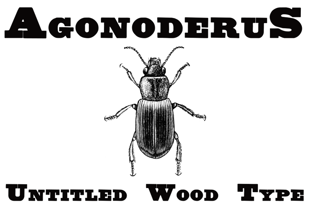 Untitled Wood Type FAMILY PACK, a Serif Font by Intellecta Design (Photo 1 of 7)