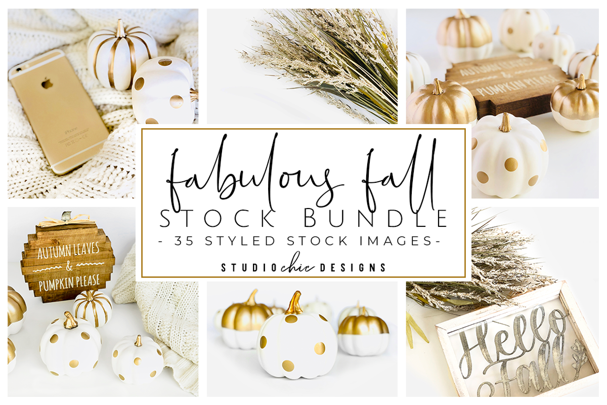 Fall Pumpkin Stock Image Bundle, a Holiday Photo by Studio Chic Designs (Photo 1 of 4)