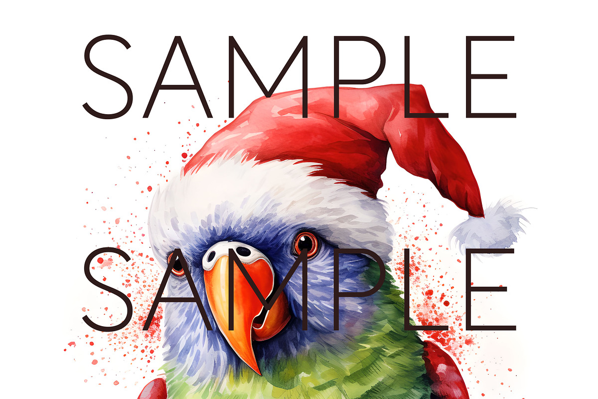 Christmas Australian Native Birds, a Seasonal Illustration by Pawcasso's Portraits (Photo 8 of 9)