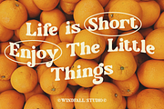 Vacation Paradise - Modern Retro, a Serif Font by Windfall Co (Thumbnail 8 of 10)