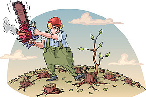 Destructing the forest