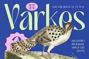 Varkes Elegant Display Typeface, a Sans Serif Font by timelesstype.co (Thumbnail 1 of 15)