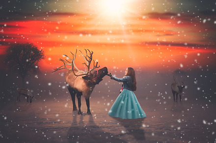 15- Reindeer PNG Overlays - VOL II