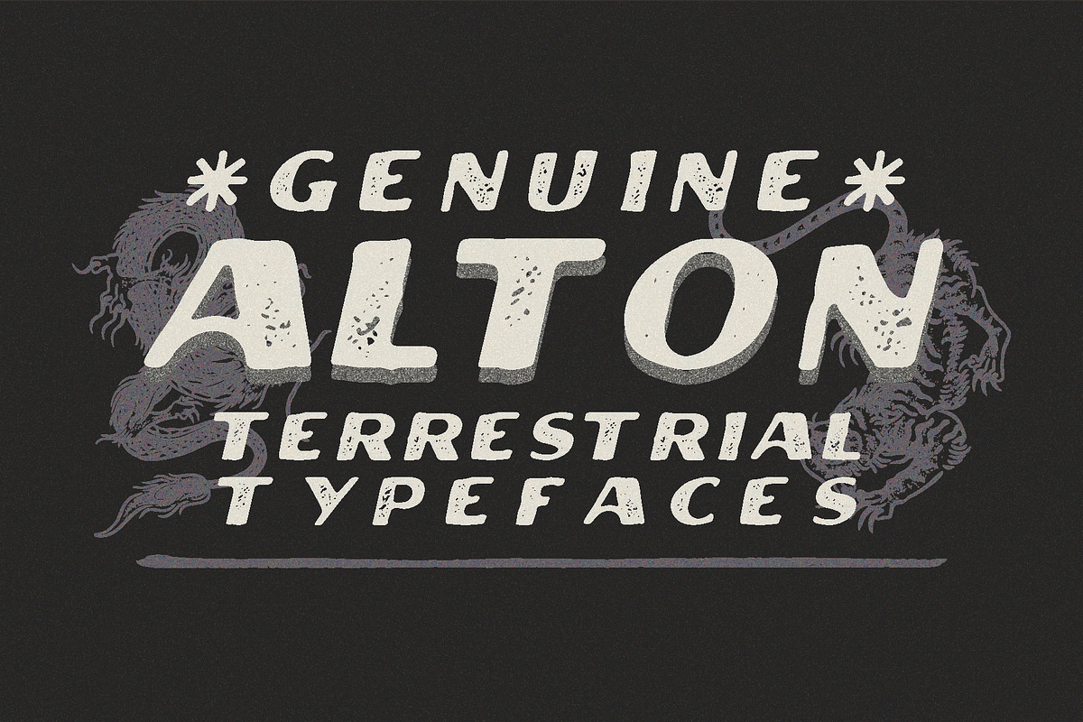 Alton - Terrestrial Typefaces, a Sans Serif Font by Rusted Works (Photo 1 of 7)