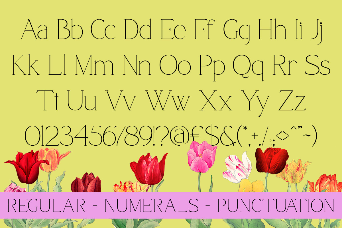 Qamora - Elegant Serif Font, a Serif Font by Sohel Studio (Photo 9 of 10)