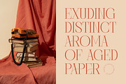 Barely Painter Elegant Serif Font, a Serif Font by timelesstype.co (Thumbnail 8 of 20)