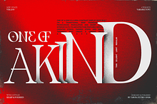 TBJ One Of A Kind Serif Font Family
