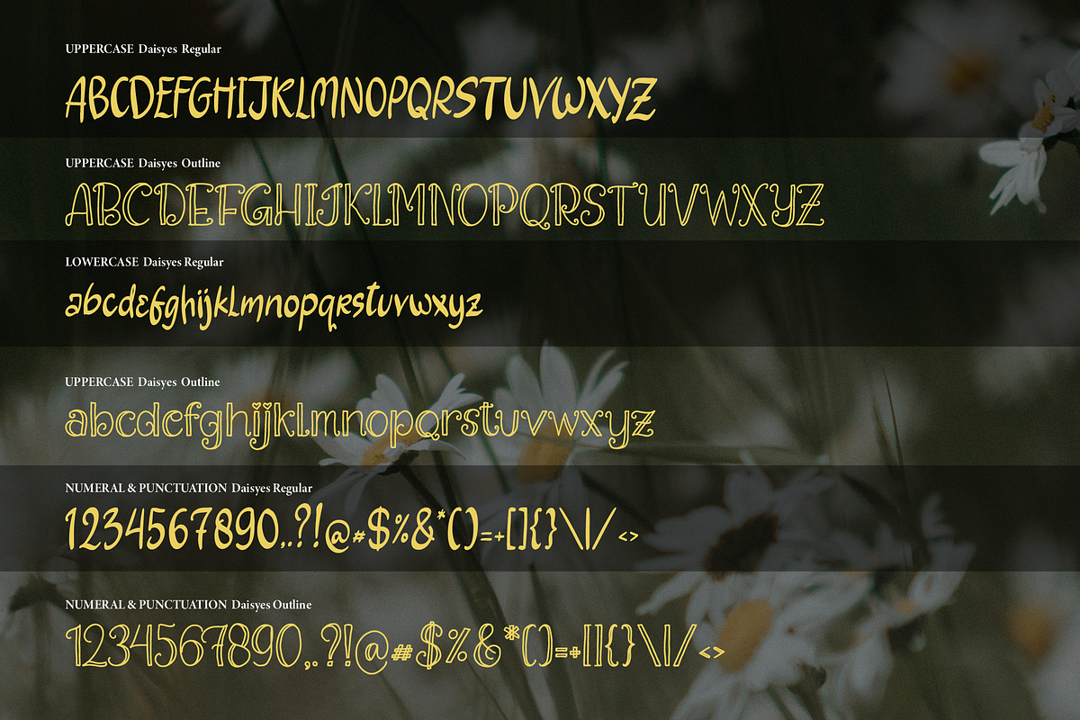 Daisyes | Hand Drawn Dual Font, a Handwritten Font by Denustudios (Photo 13 of 14)