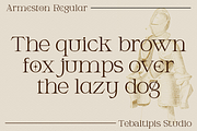Armeston - Modern Serif, a Serif Font by tebaltipislab (Thumbnail 5 of 15)