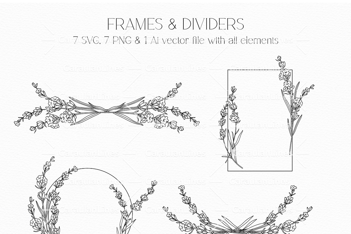 Lavender Line Art, a Decorative Illustration by CaraulanStore (Photo 3 of 8)