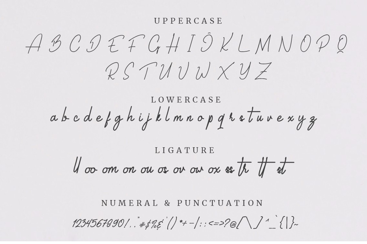 Boosting, a Script Font by rizal_yustriadi (Photo 6 of 8)