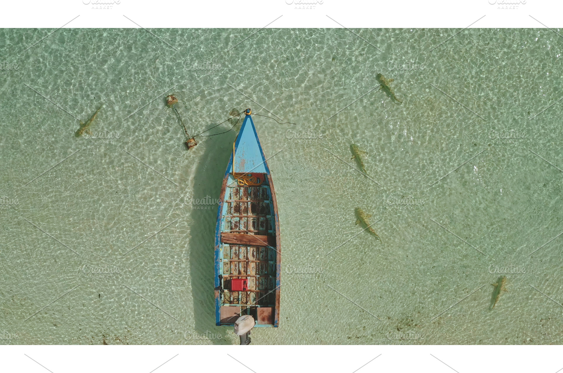 Fishing boat moored in shallow water, an Animal Photo by Goinyk