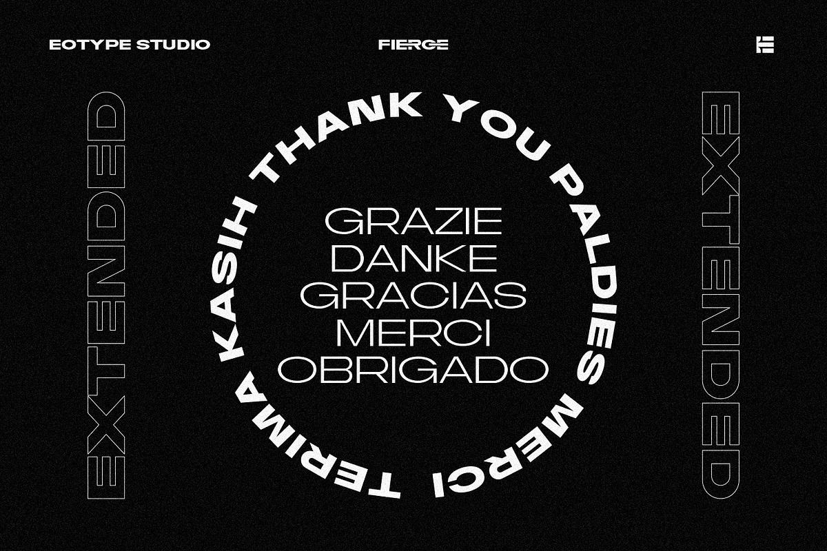 Fierce - Modern Sans Family, a Sans Serif Font by Eotype Studio (Photo 15 of 15)