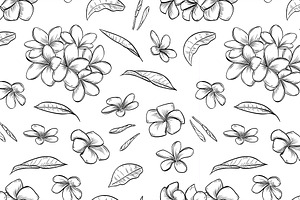 Seamless Pattern Of Plumeria Flowers