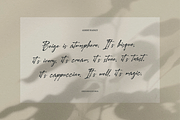 Pegiblue | Classic Signature Font, a Font by Denustudios (Thumbnail 3 of 13)