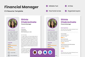 CV Resume Financial Manager V2, a Resume Template by productype1