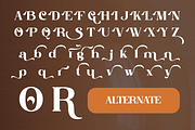 Galinoy - Bold Modern Serif Display, a Serif Font by Qweera Studio (Thumbnail 9 of 12)