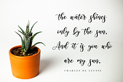 Alyanda Script, a Script Font by Nissa Studio (Thumbnail 9 of 12)