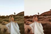BOHO WEDDING VIDEO LUTS, a Plug-in Add-On by FOXIMIDesign (Thumbnail 8 of 9)