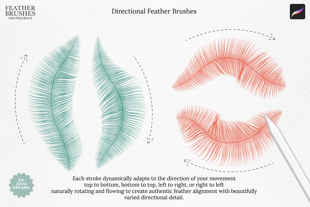 Feather Brushes for Procreate, a Brush Add-On by Julia Dreams (Photo 4 of 5)