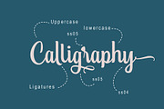ANGGIE, a Script Font by Olexstudio (Thumbnail 3 of 8)