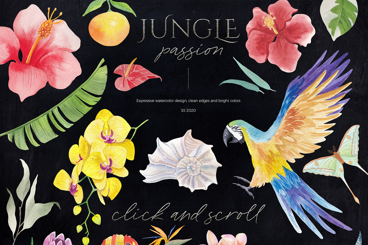 Tropic Moon - mystique design kit, an Animal Illustration by Beauty Drops (Photo 3 of 12)