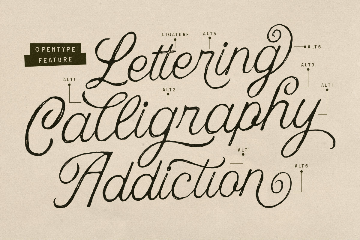 Nuances Affection Handwritten Script, a Script Font by Letterhend Studio (Photo 9 of 10)