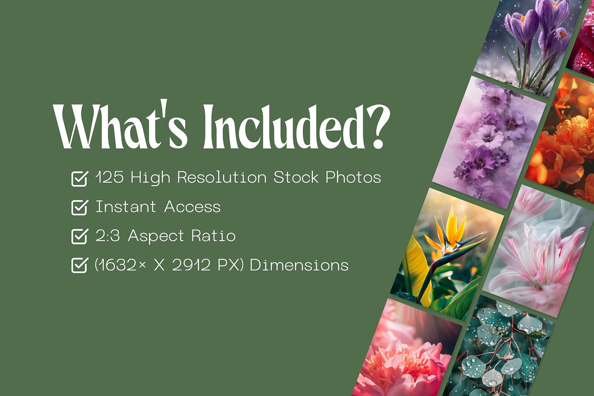 125 Floral & Botanical Stock Photos, a Nature Photo by Incomelion (Photo 6 of 12)