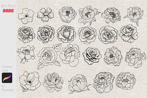 Procreate Line Art Flower Stamps