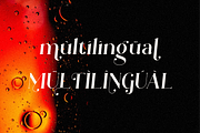 Rallinsah Serif Font, a Serif Font by Typegoals Studio (Thumbnail 6 of 9)