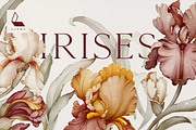 Bloom Poetry – 8 in 1 Luxury Floral, an Illustration by Karma (Thumbnail 27 of 66)