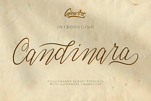 Candinara - Elegant Calligraphy