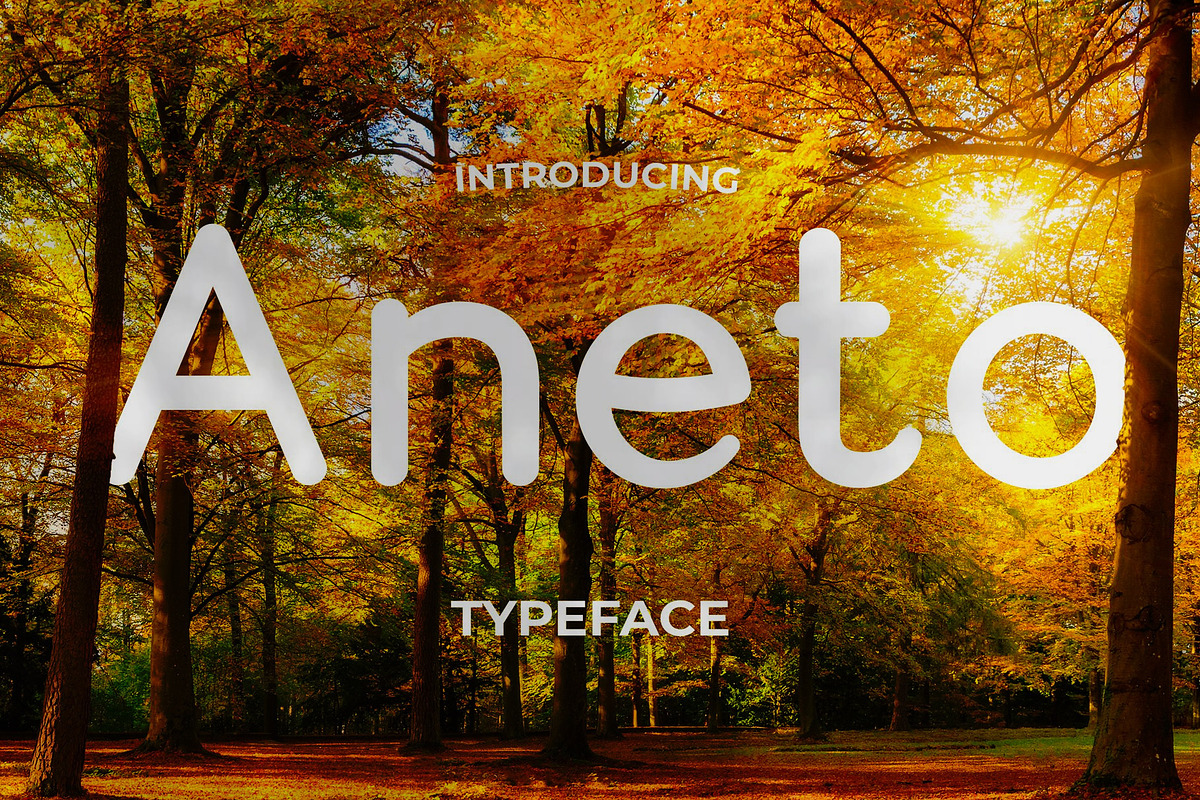 Aneto Sans | Clean Inviting Typeface, a Sans Serif Font by Craft Graphic Type (Photo 8 of 12)