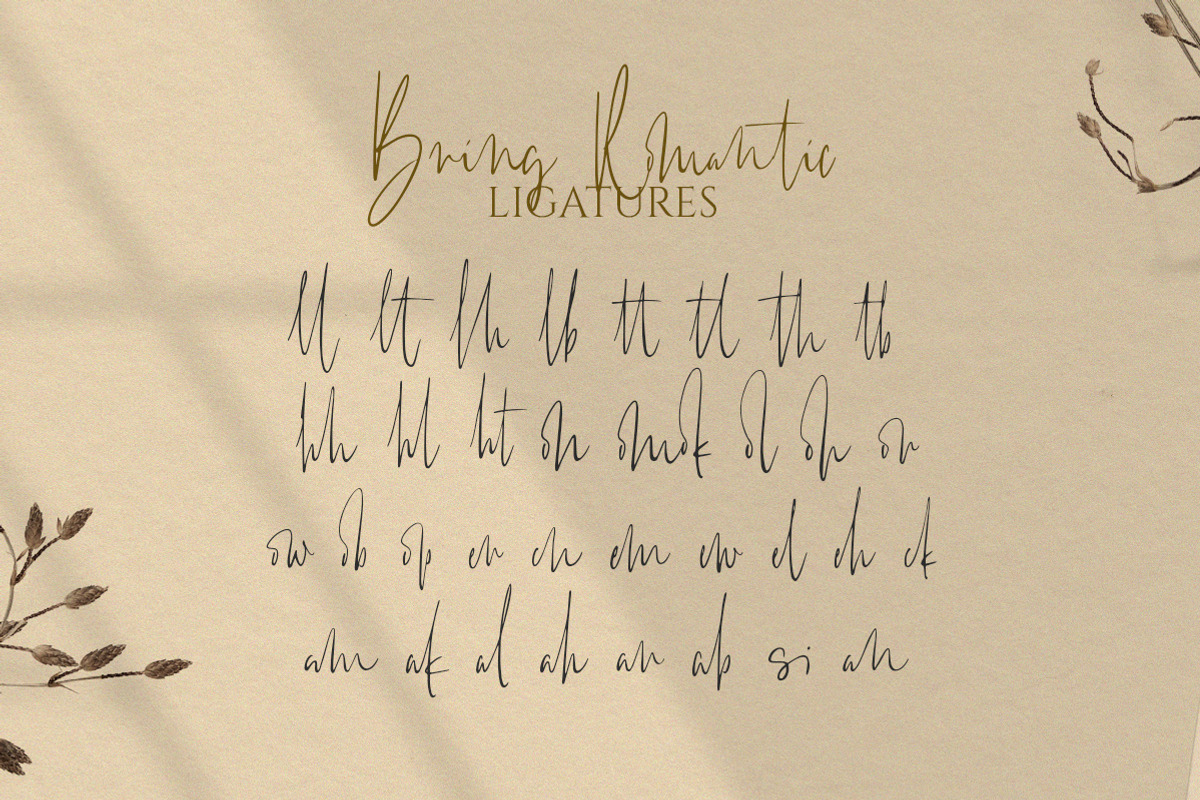 Bring Romantic - Handwritten Font, a Handwritten Font by Letterhend Studio (Photo 6 of 10)