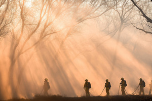 Firefighters walking through forest in early morning light, atmo, a Photo by Dvoevnore photos
