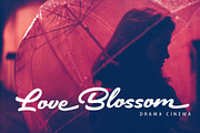 Brickell – Modern Calligraphy Font, a Script Font by HanzelSpace Studio (Thumbnail 3 of 8)