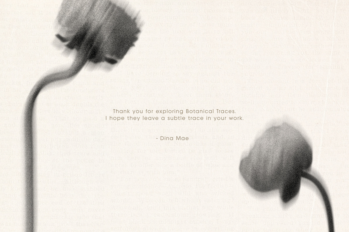 Botanical Traces: Blurred Floral PNG, an Object Graphic by Dina Mae (Photo 14 of 14)