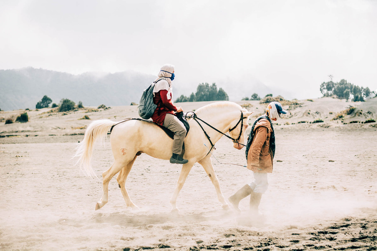 Bundle 150+ Lightroom Presets, a Preset Add-On by Daily Studio (Photo 8 of 10)