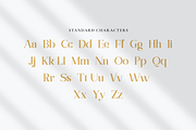 Youthtopia - Advertisement Font, a Serif Font by RockboyStd (Thumbnail 10 of 12)
