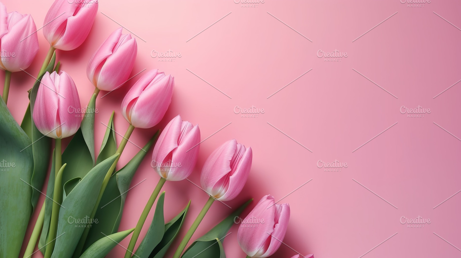 colorful tulip background, a Nature Photo by Virgo Studio