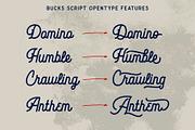 Bucks, a Script Font by Secondivison Supply (Thumbnail 4 of 9)