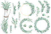 Eucalyptus Watercolor Illustrations, a Decorative Illustration by DioFlow (Thumbnail 3 of 11)