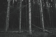 Mood collection, a Photo by Alekseyliss (Thumbnail 11 of 21)