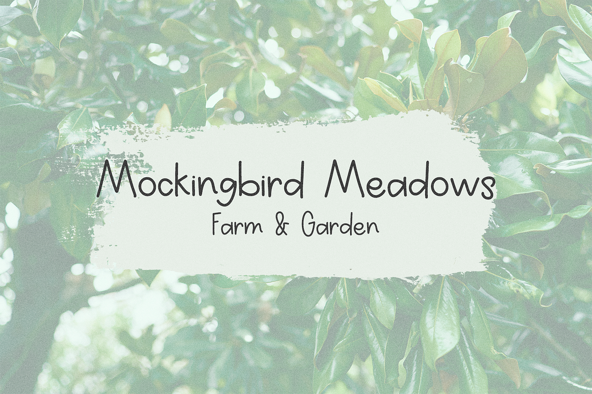 Magnolia & Pines Sans, a Handwritten Font by Beck McCormick (Photo 3 of 10)