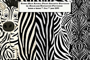Zebra Skin Animal Print Patterns, a Pattern Graphic by karenfoleyphoto (Thumbnail 1 of 6)