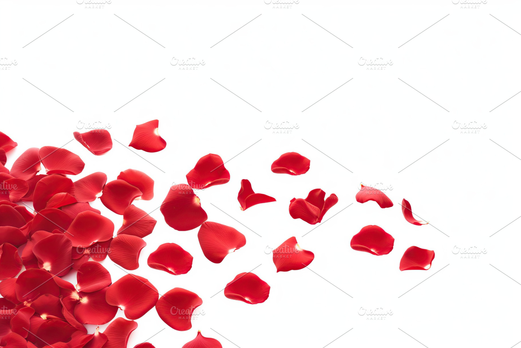 Red rose petals on white background, a Nature Photo by AlyaAnd