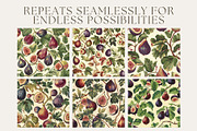 8 Figs and Leaves Seamless Patterns, a Pattern Graphic by Inknfolly (Thumbnail 2 of 5)