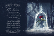 Quinton Script Font, a Script Font by Sala.Ink (Thumbnail 6 of 10)