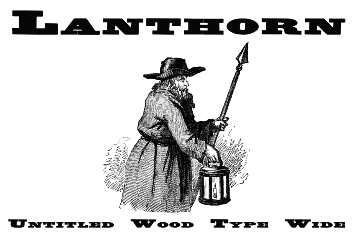 Untitled Wood Type FAMILY PACK, a Serif Font by Intellecta Design (Photo 4 of 7)